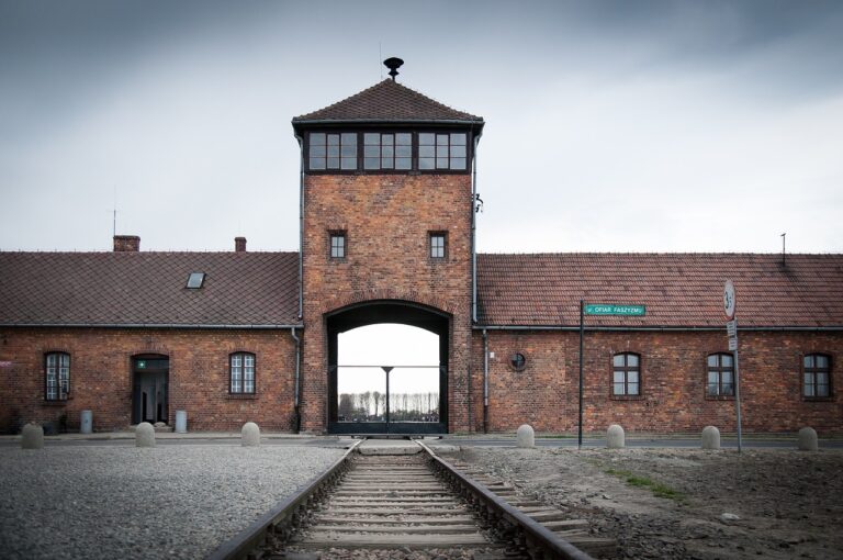 De top 10 van de beste boeken met verhalen over Auschwitz 2024